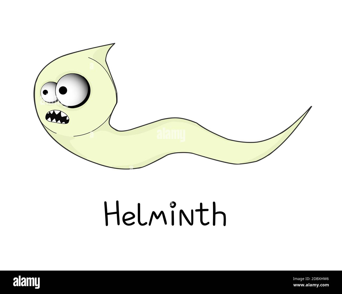 helminths, roundworms. intestinal parasites. warning sign parasitism ...