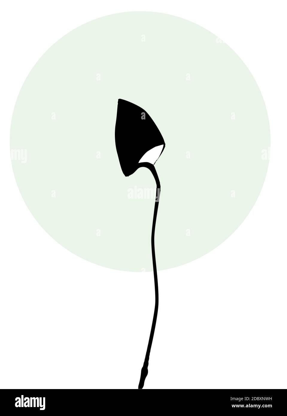 A magic mushroom silhouetted against a white background with a pale green moon. Stock Photo