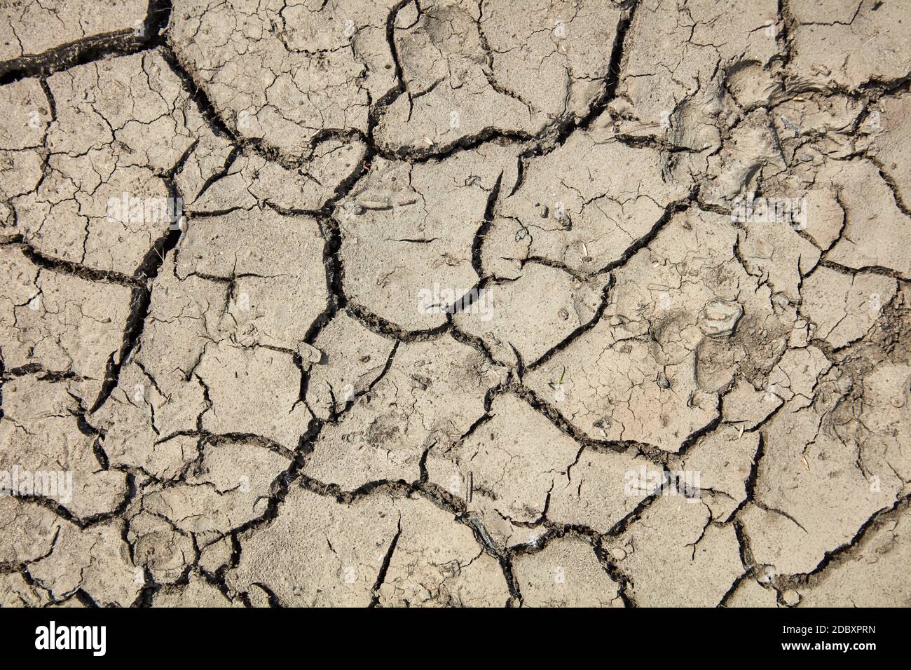 Dryness Stock Photo