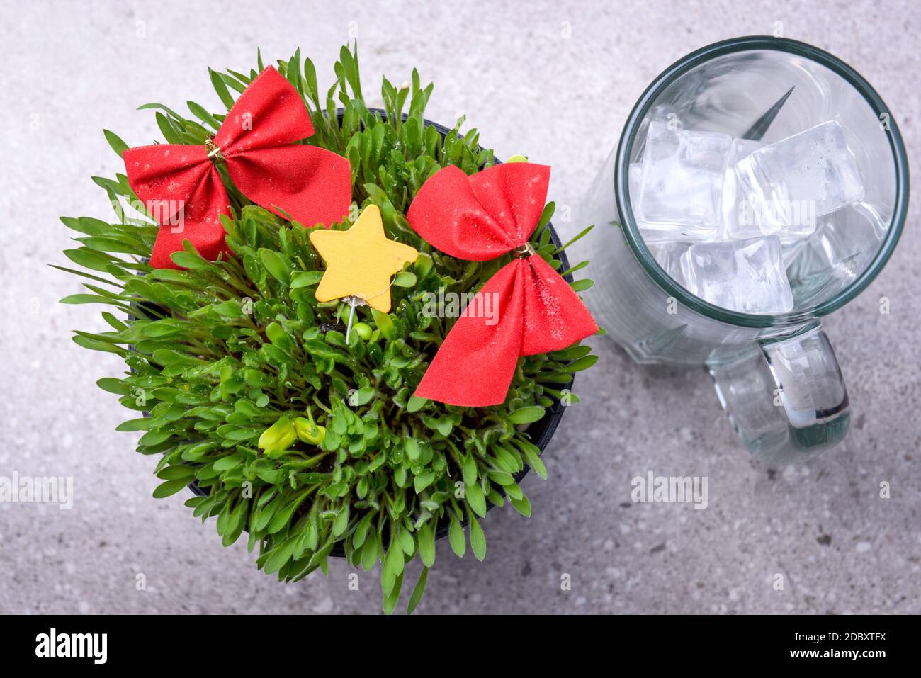 Close up view of millet grass plant with Christmas ornament in the pot and glasses with an ice cube on the desk Stock Photo