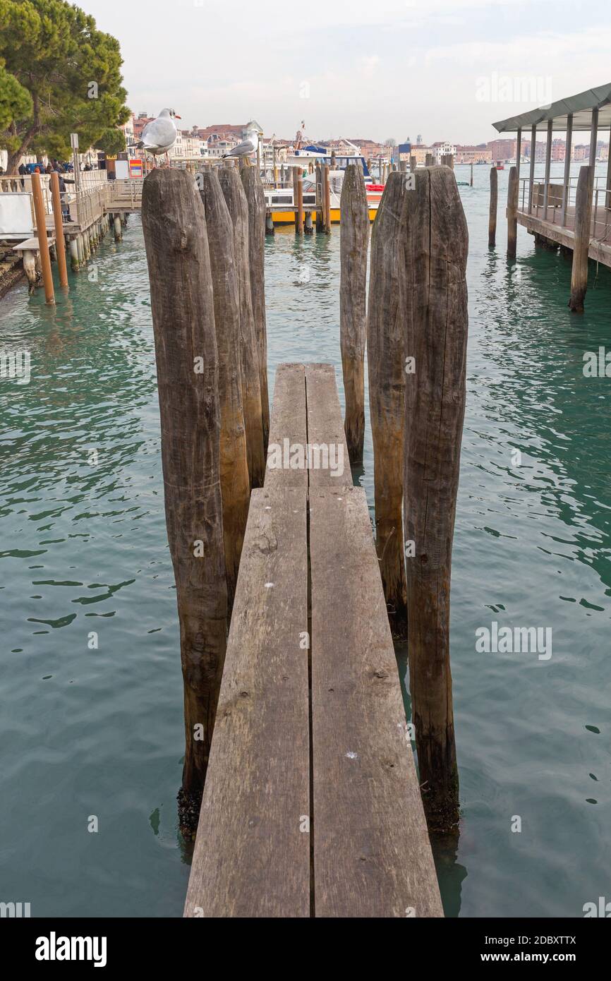 Wooden Pier With Columns in Venice Italy Stock Photo - Alamy