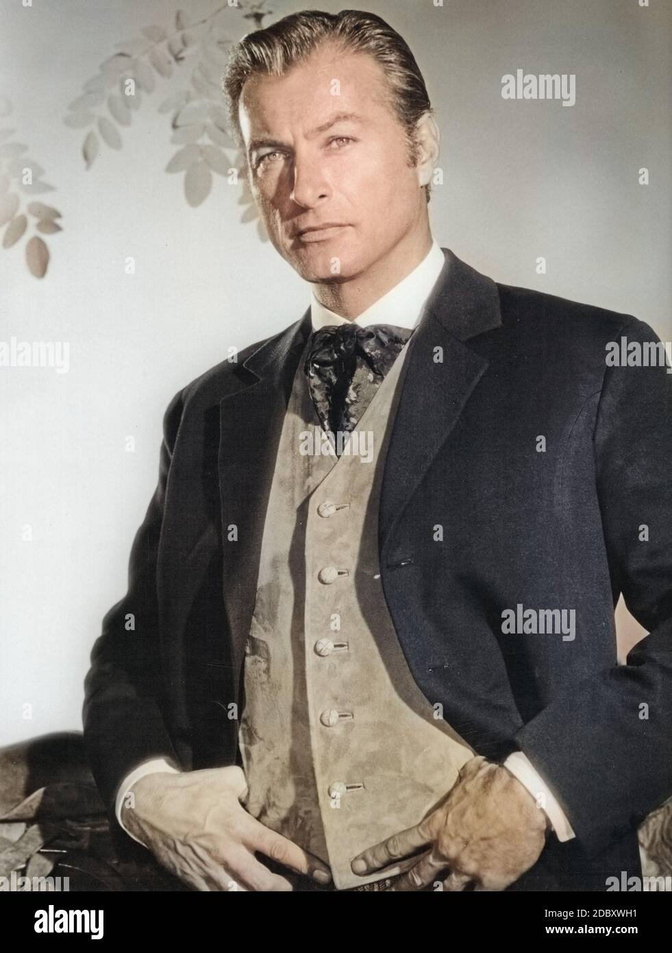 Mannlicher Amerikanischer Schauspieler