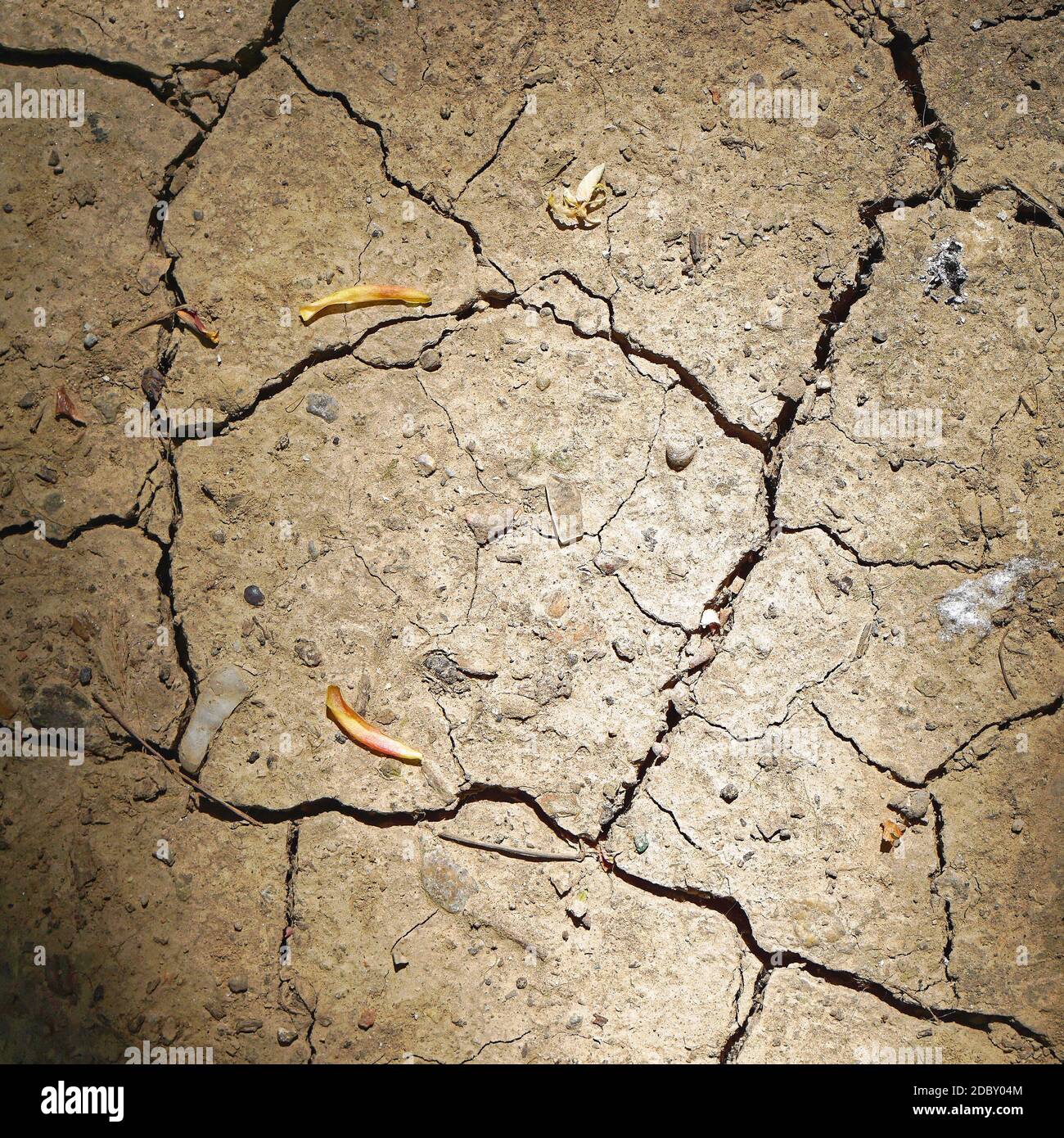 Cracked earth dust and dirt caused by drought Stock Photo - Alamy