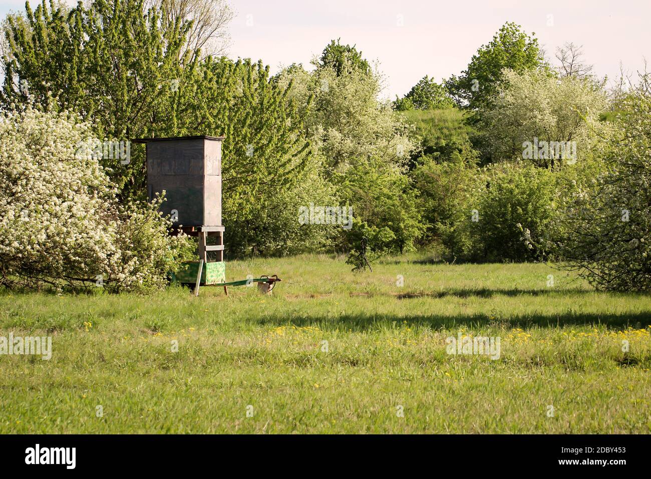 A high seat for hunters hidden in a clearing. Stock Photo