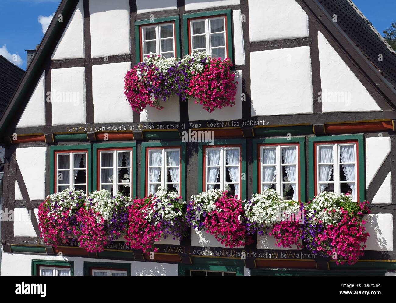 Half-timber house with petunia flowers in flower boxes, Arnsberg at the Ruhr, Germany Stock Photo