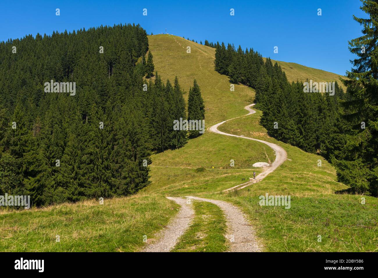Hiking on the forest path from Zwiesel into the valley Stock Photo