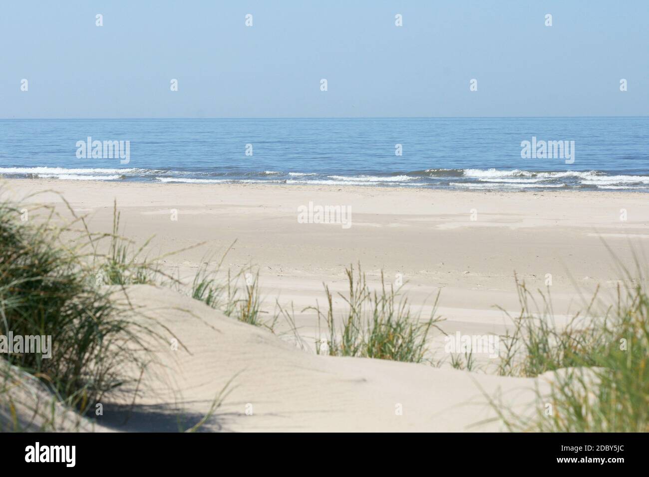some dunes on the North Sea in the Netherlands Stock Photo - Alamy