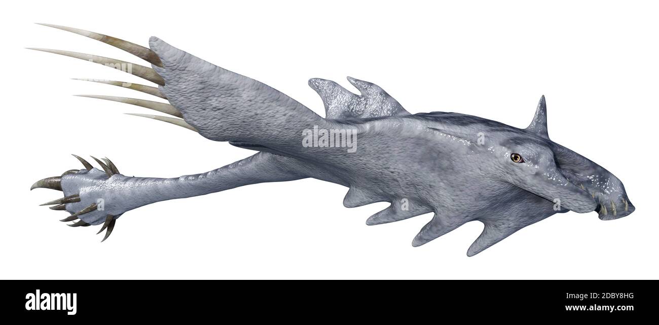 3D rendering of a devil ray isolated on white background Stock Photo ...