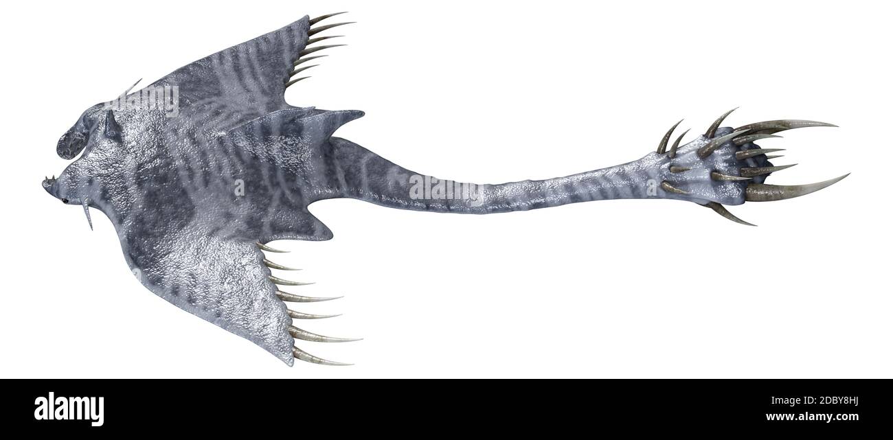 3D rendering of a devil ray isolated on white background Stock Photo ...