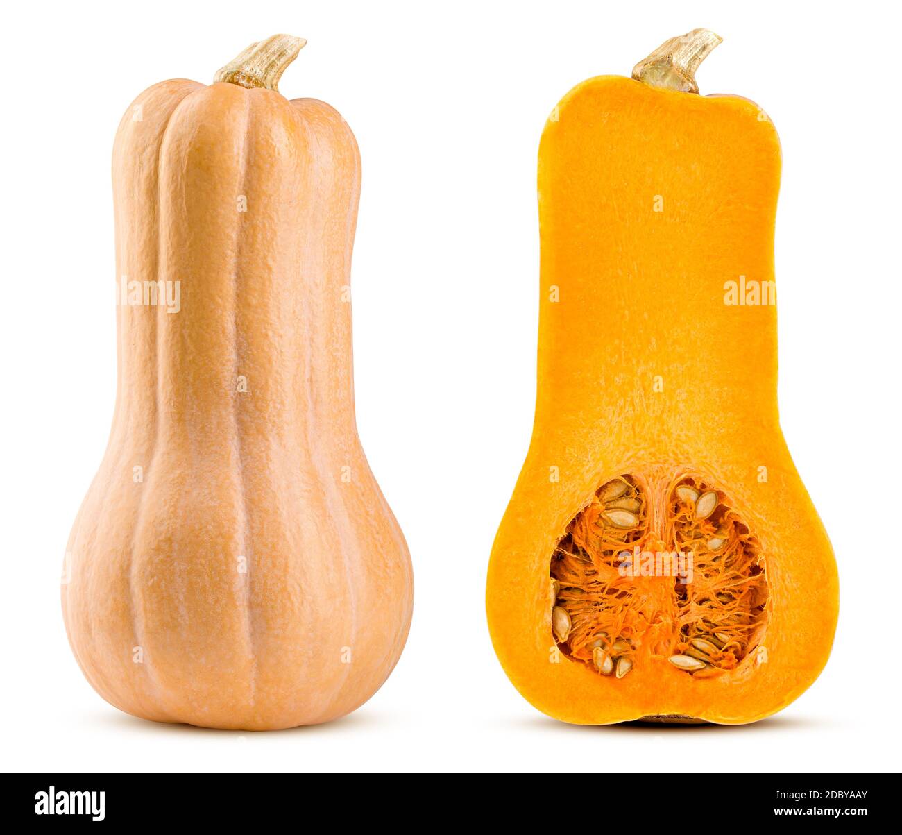 pumpkin butternut squash isolated on white background, full depth of field Stock Photo