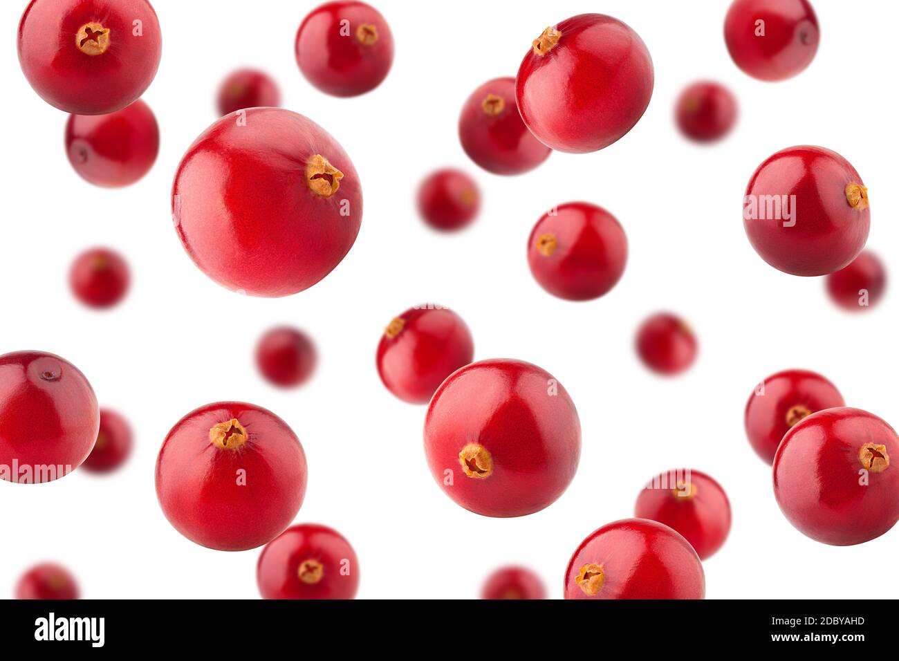 Falling cranberry isolated on white background, selective focus Stock Photo