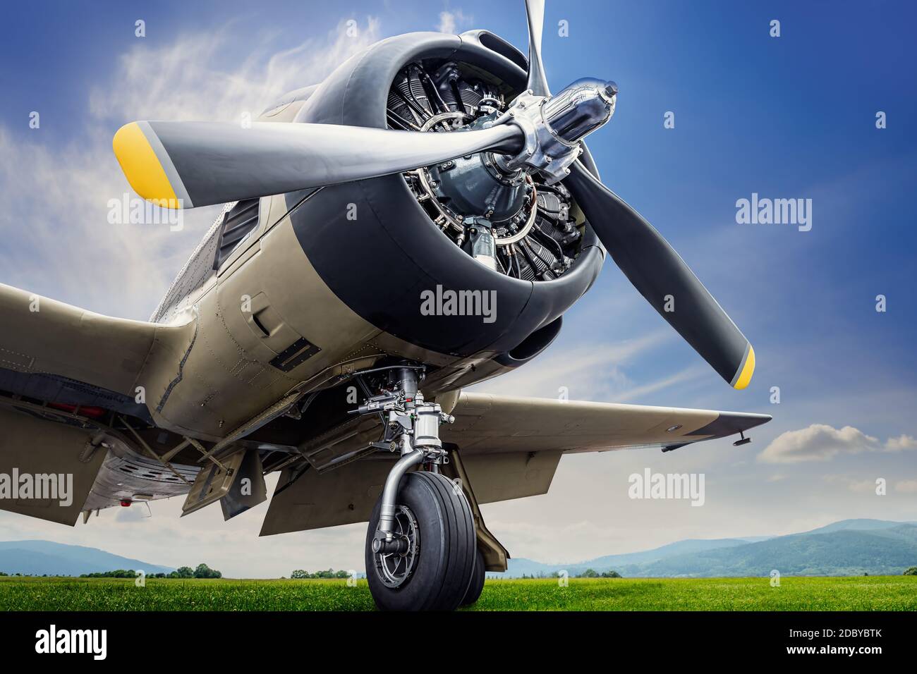 historical aircraft against a dramatic sky Stock Photo