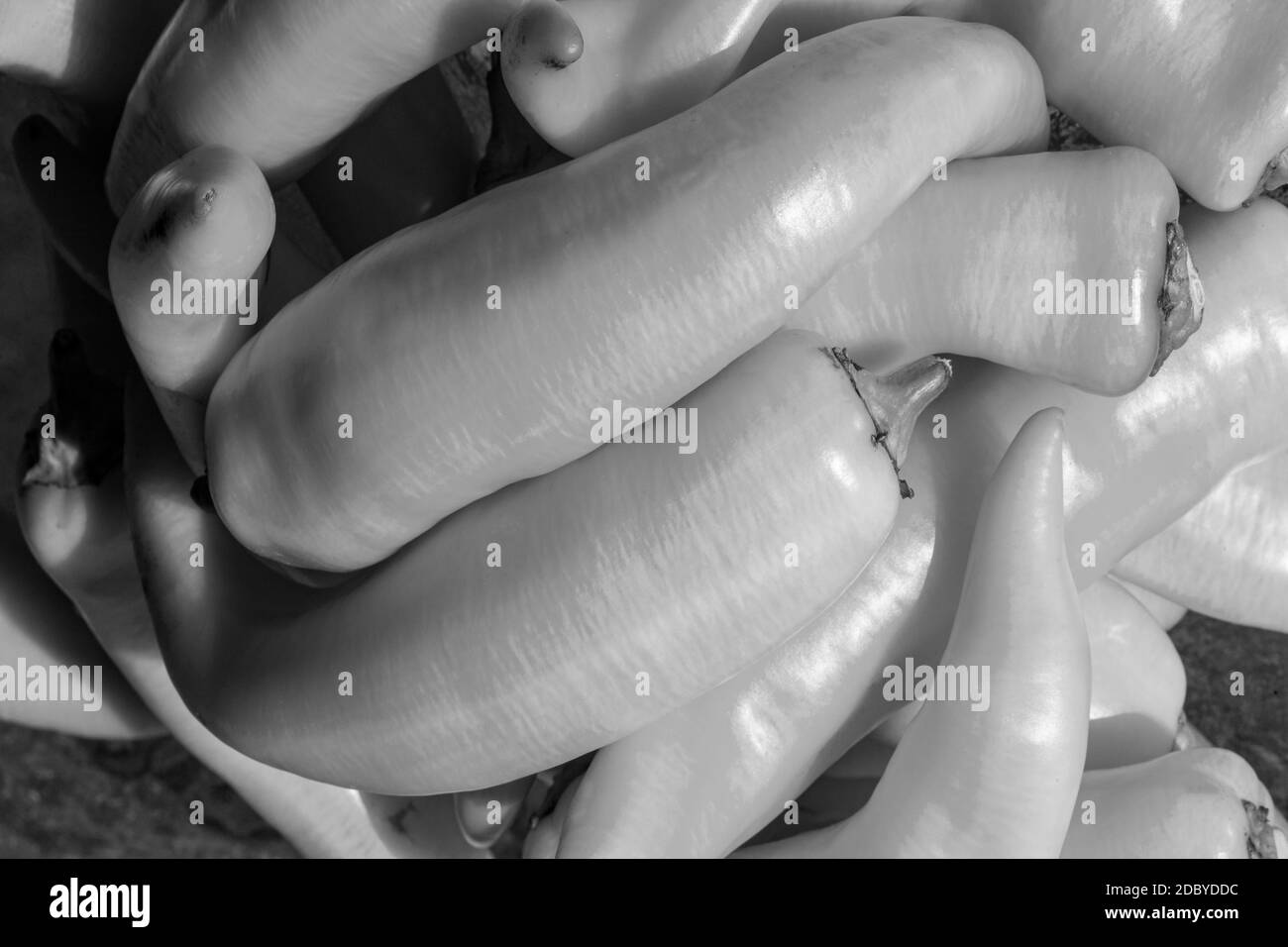 Yellow Peppers Stock Photo