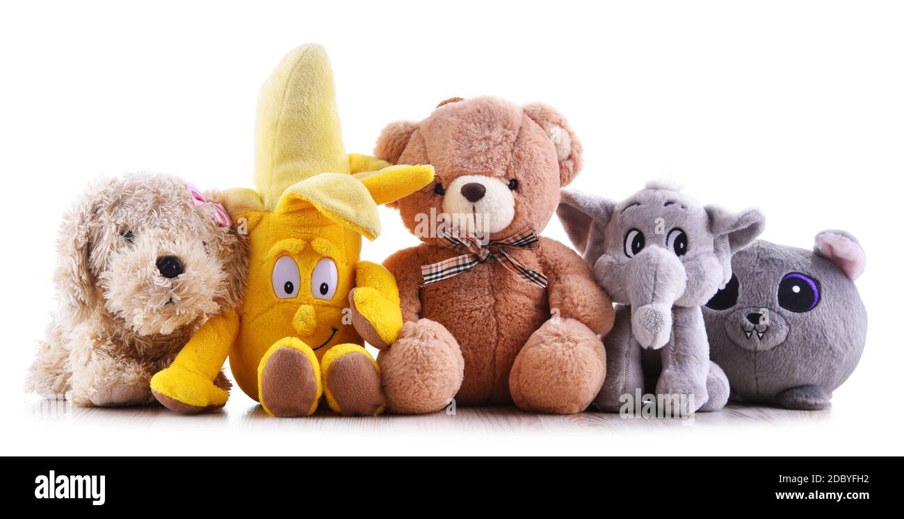 Stuffed animal toys isolated on white background Stock Photo - Alamy