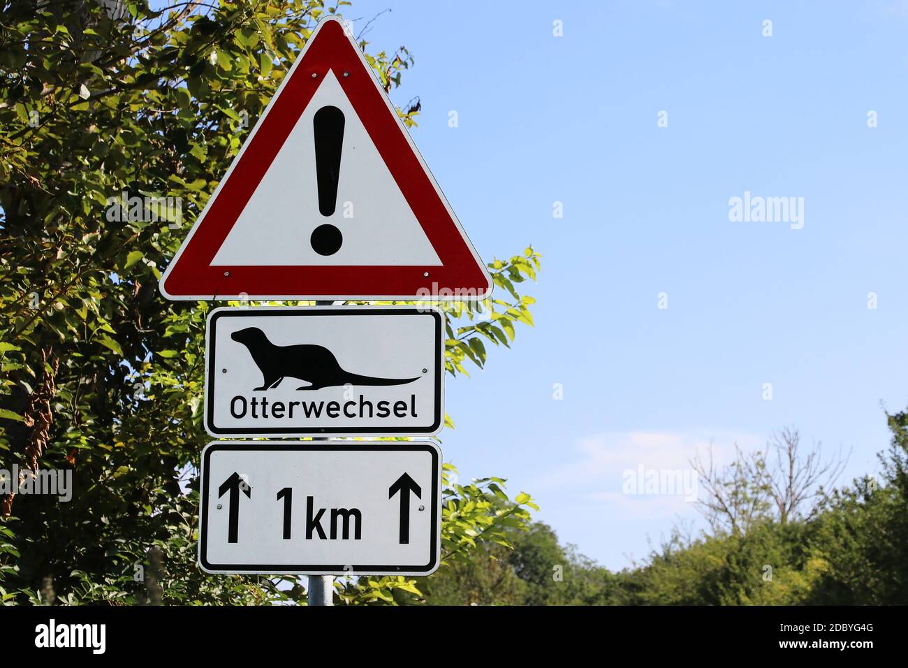 Road sign Attention Otter change. Otters can walk across the road Stock Photo