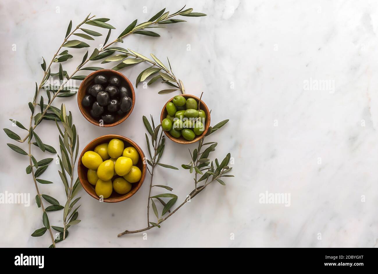 Pickled green and black olives served in bowls with fresh tree sprigs