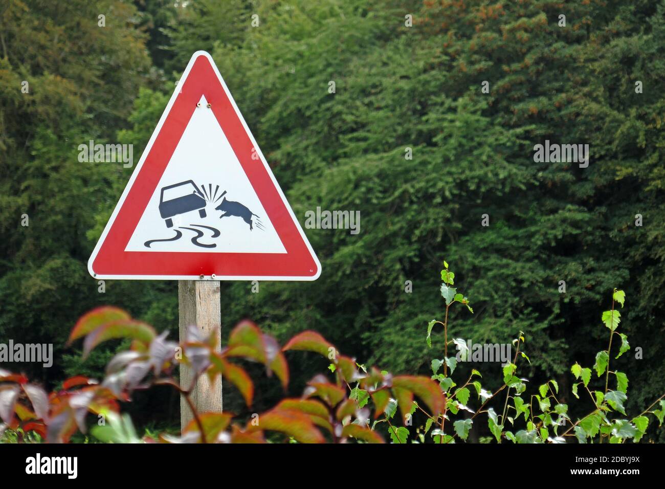 Beware of deer crossing Stock Photo