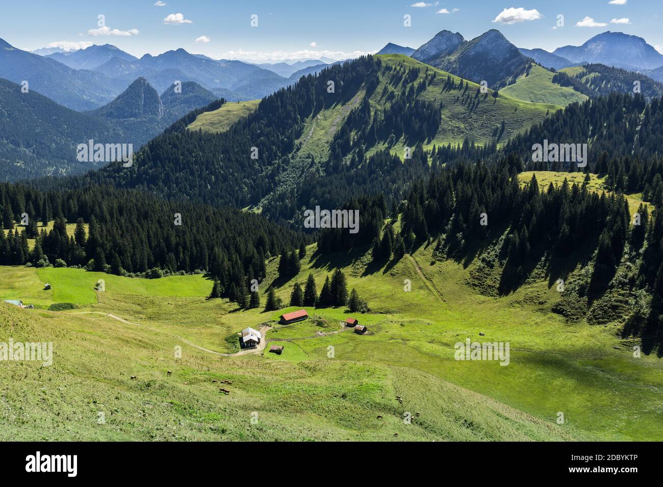 Beautiful hiking trails in the foothills of the Alps in Bavaria Stock Photo