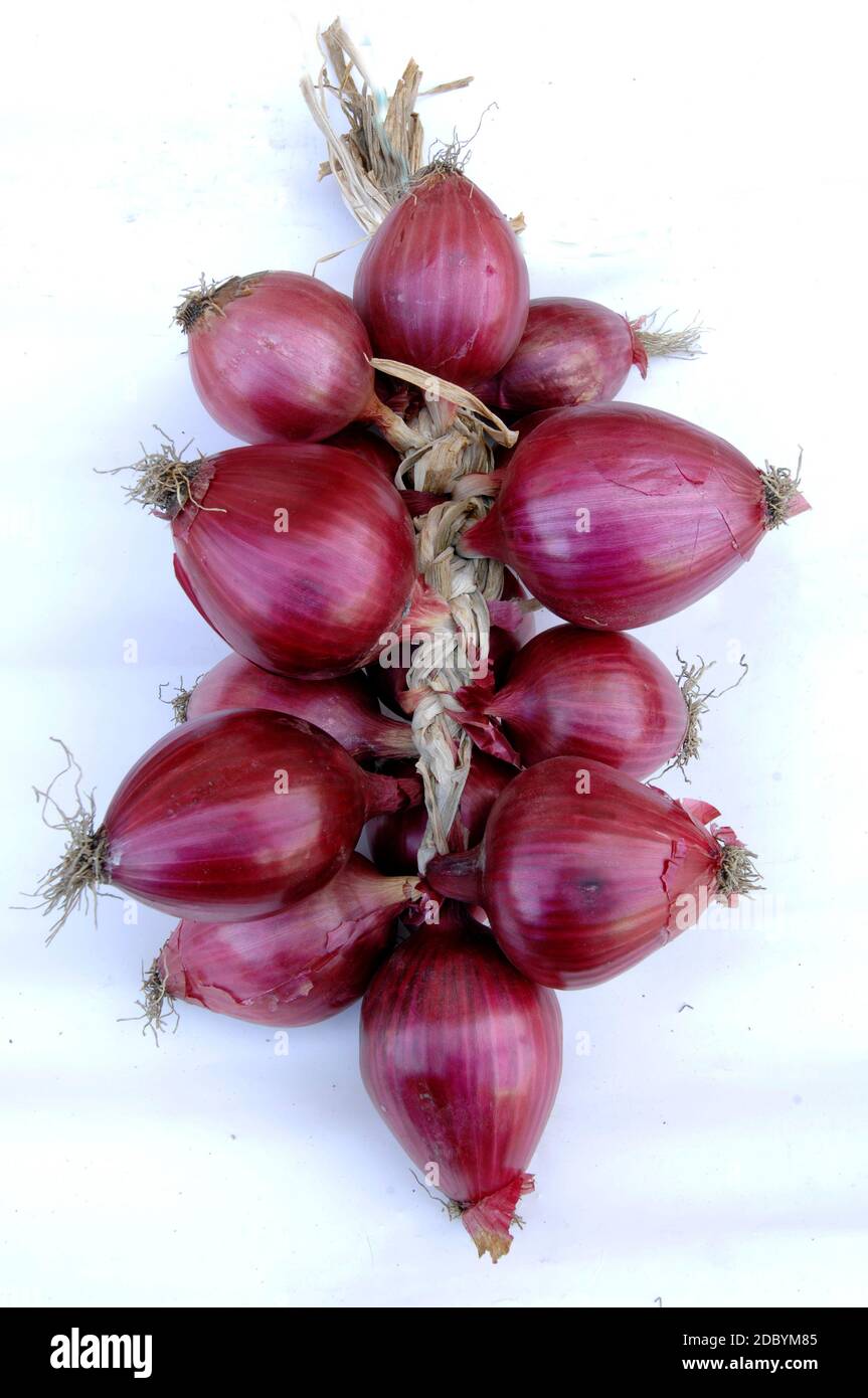 The sweet red onion of tropea hires stock photography and images Alamy