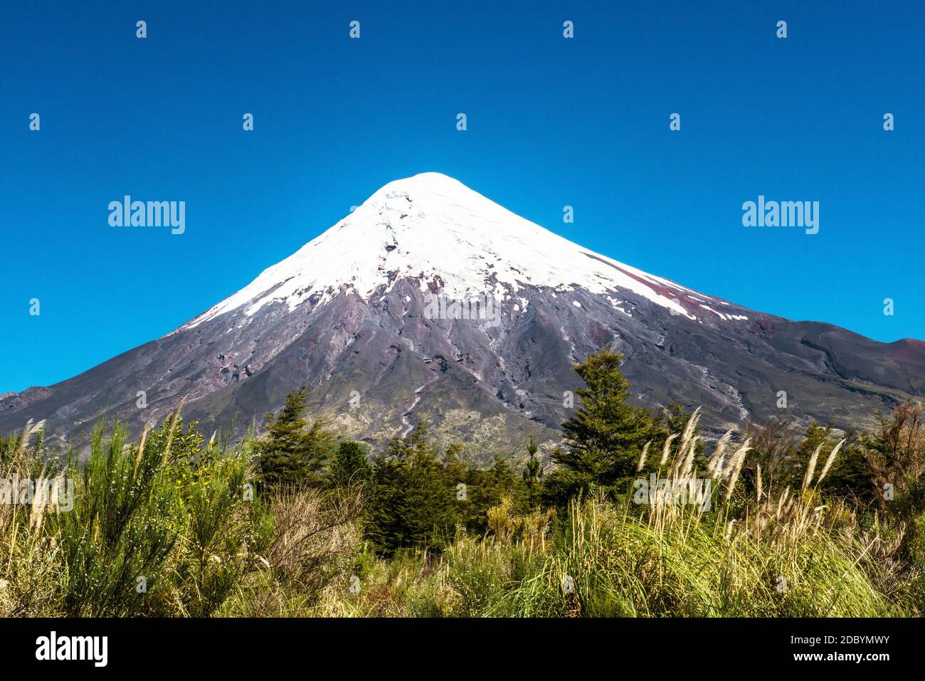 Osorno volcano, Chile The Osorno volcano is a 2652m high volcano in the south of Chile Stock Photo