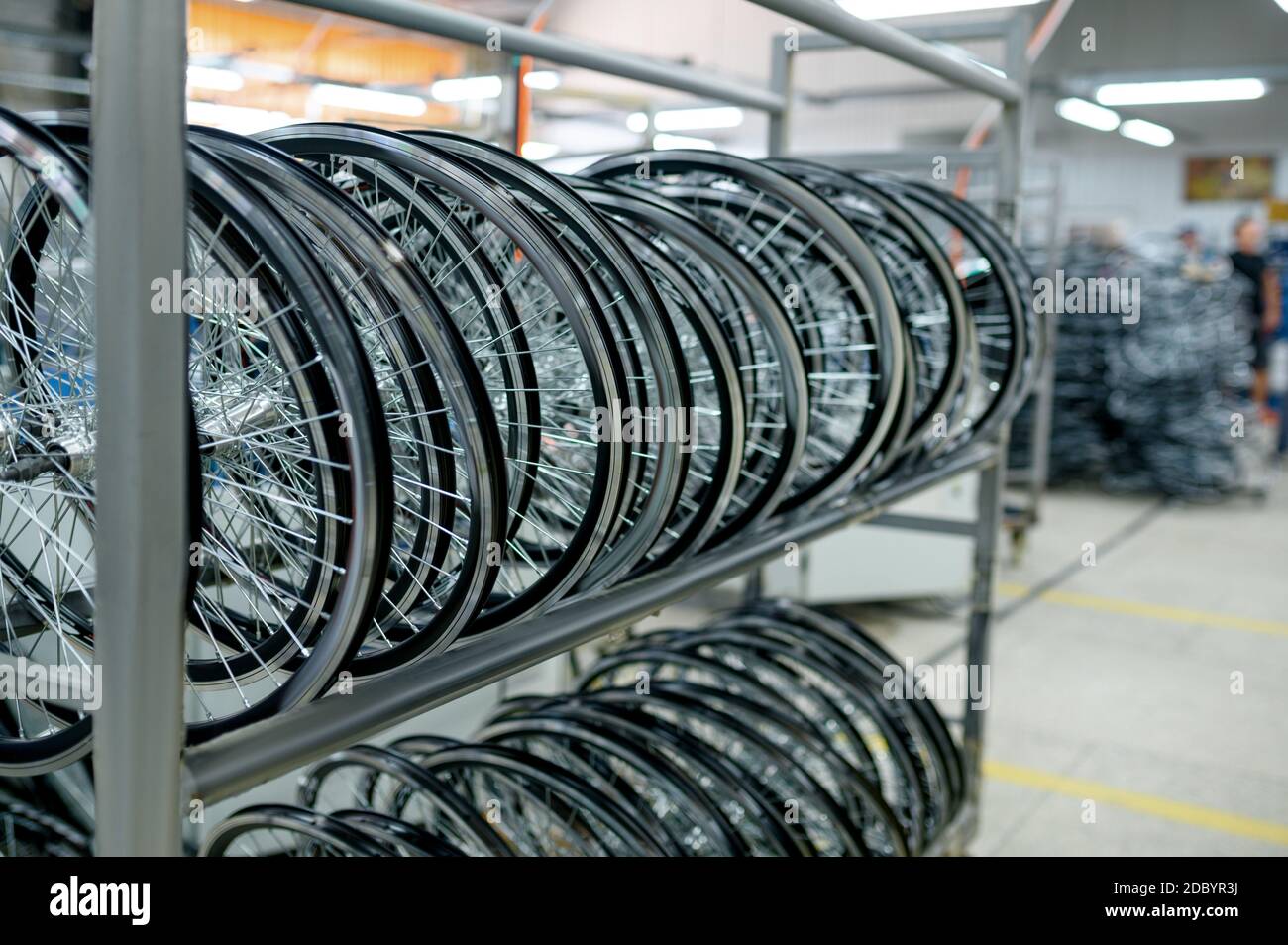 Row of new aluminum bicycle wheels on the shelf nobody. Bike parts store on factory tires in hangar assembly line cycle rims with hubs and spokes Stock Photo Alamy