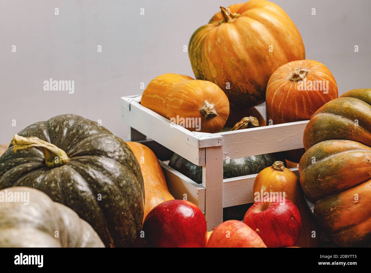 Autumn harvest of pumpkins and apples on wooden board Stock Photo - Alamy
