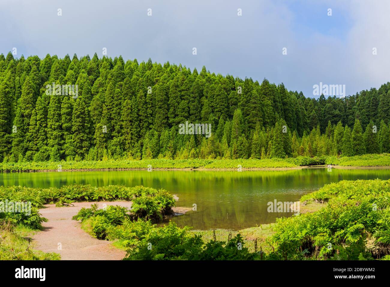 Lagoa do Canario. View of the green lagoon of Canary lake in Sao Miguel