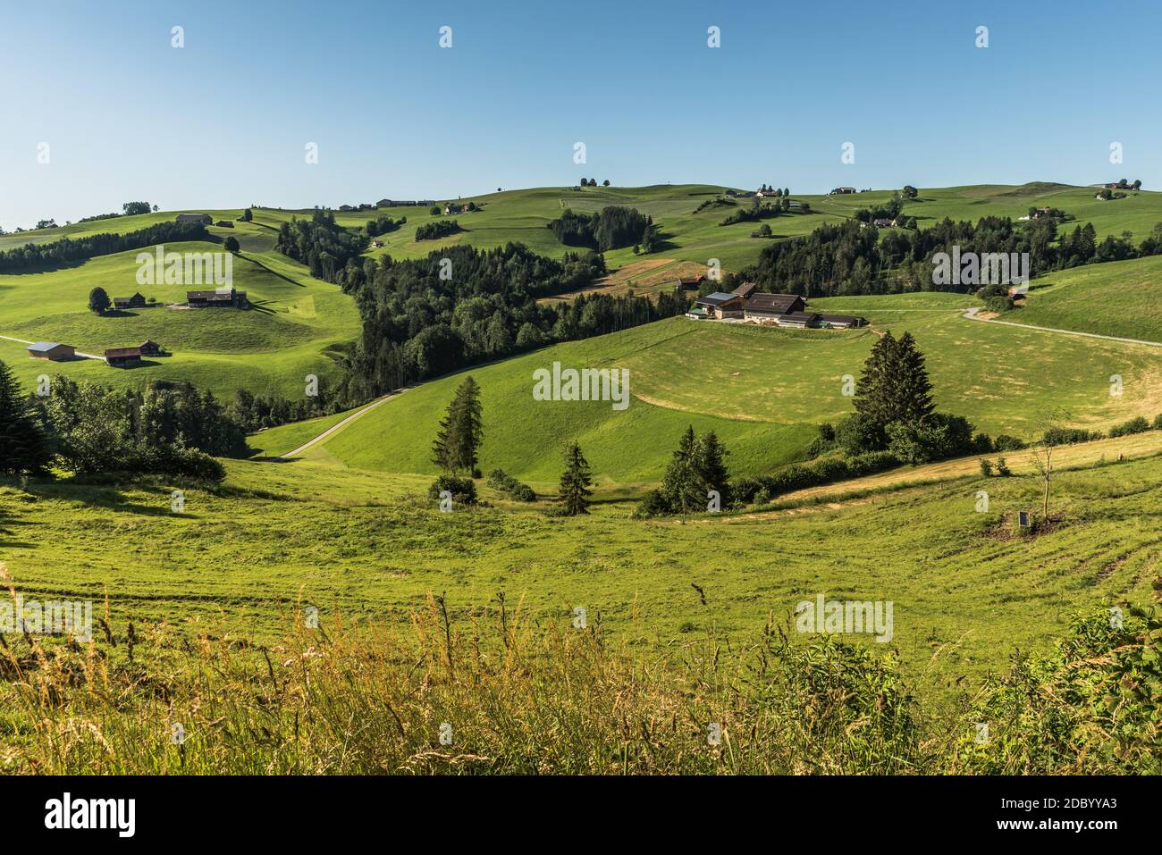 Characteristic Landscape in Appenzellerland with green pasture areas and farm houses. Canton of Appenzell Inner-Rhodes, Switzerland Stock Photo