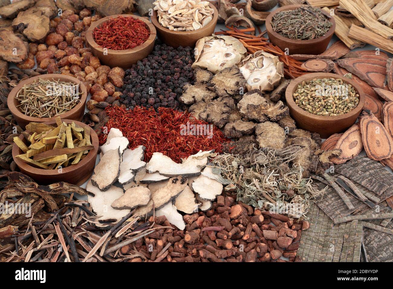 Traditional Chinese herbal medicine collection with dried herbs & spice