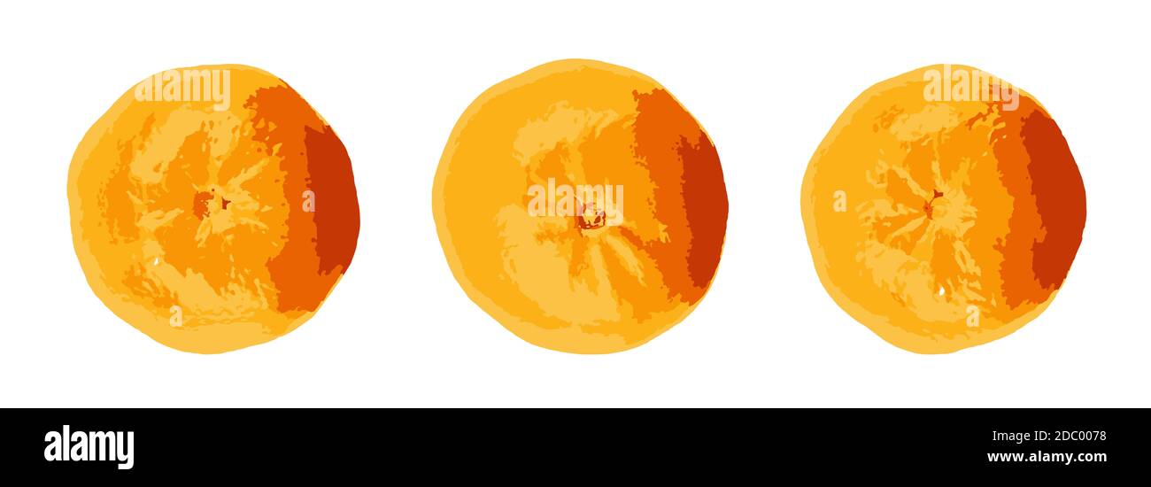 Bright fresh tangerine fruits on a white background. The tangerine is a