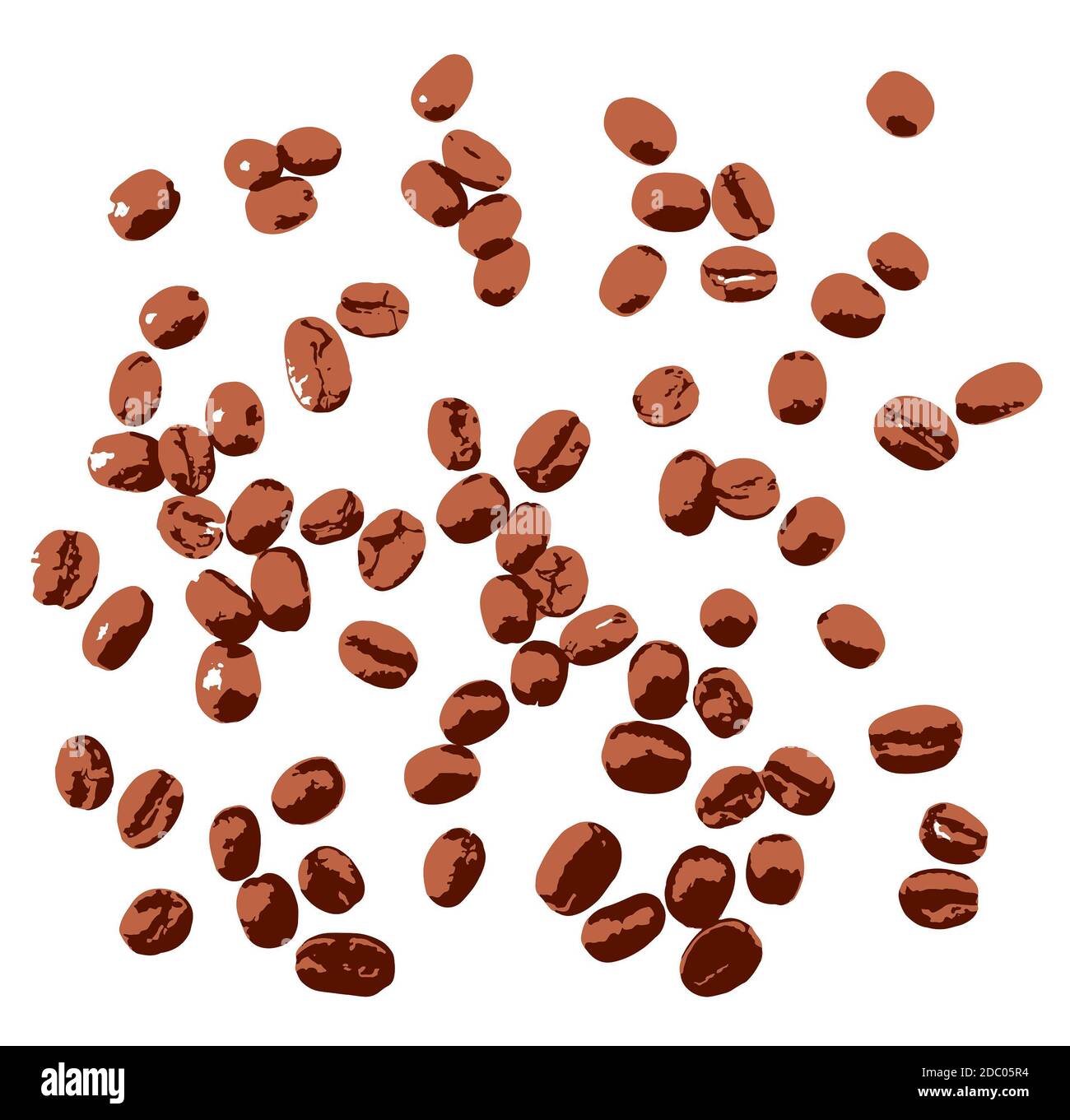 Coffee beans isolated on white. A coffee bean is a seed of the Coffea plant and the source for