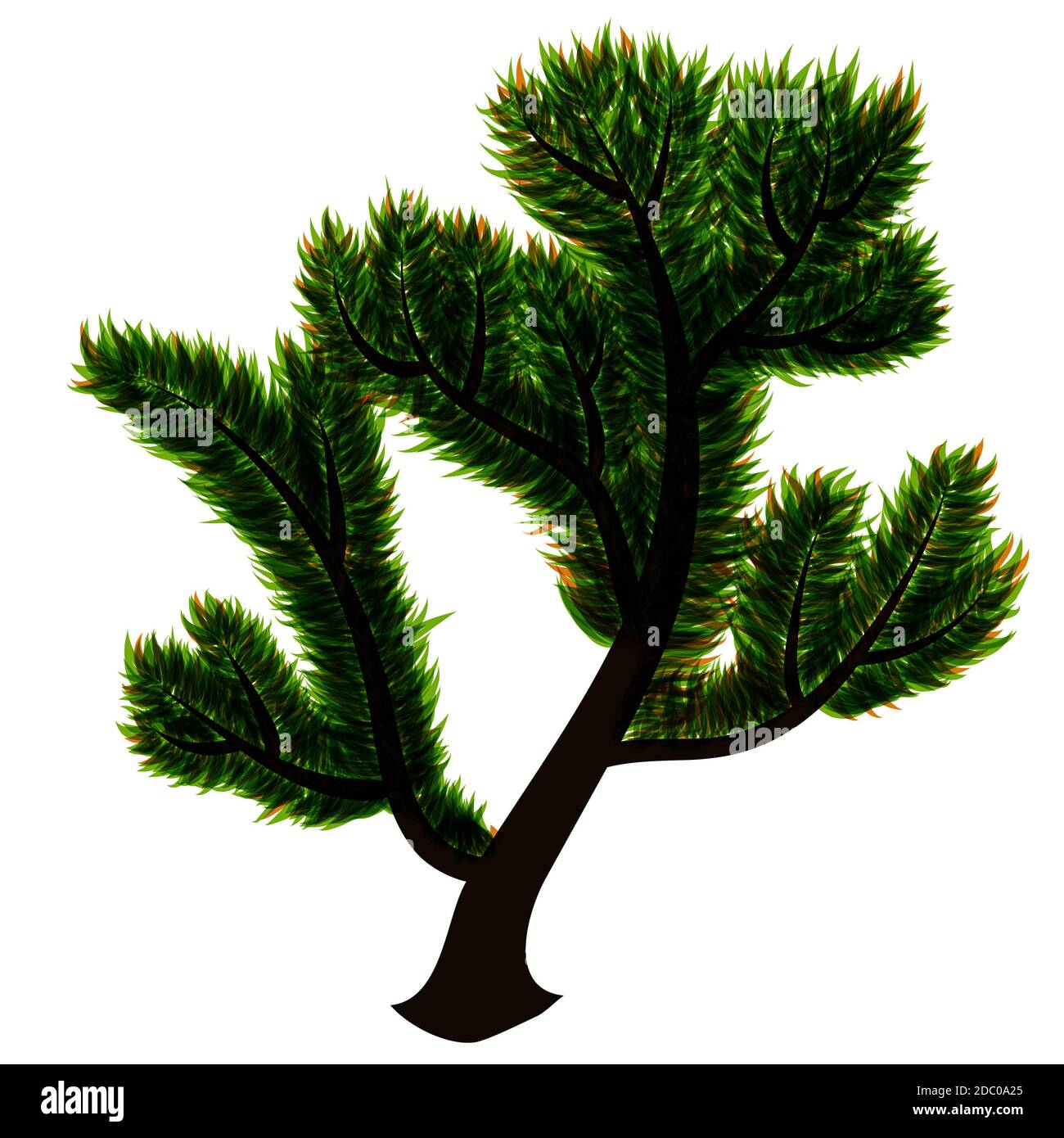 abstract isolated tree with green leaves Stock Photo - Alamy