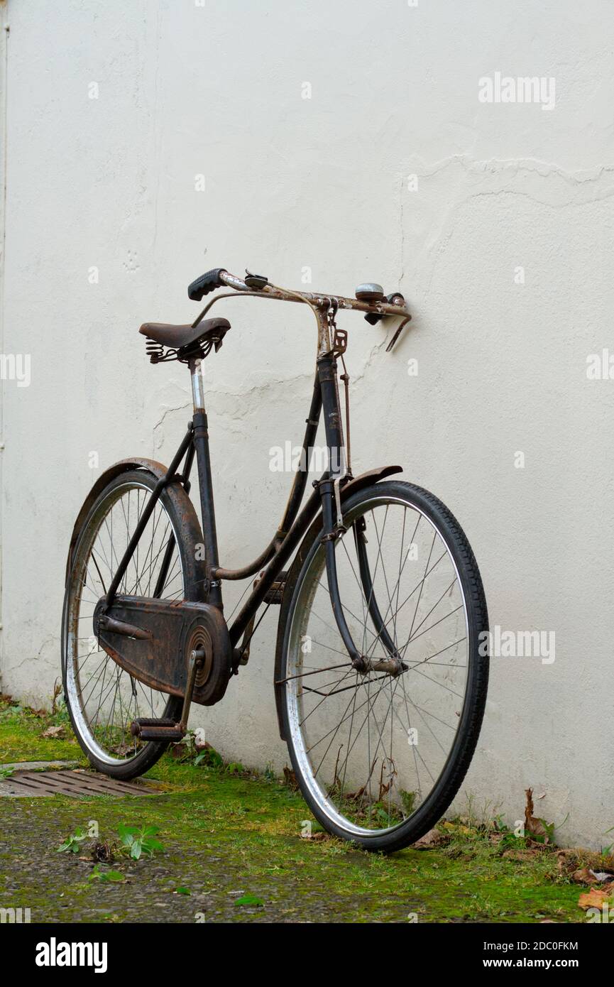 Velo cycles carlton 2025