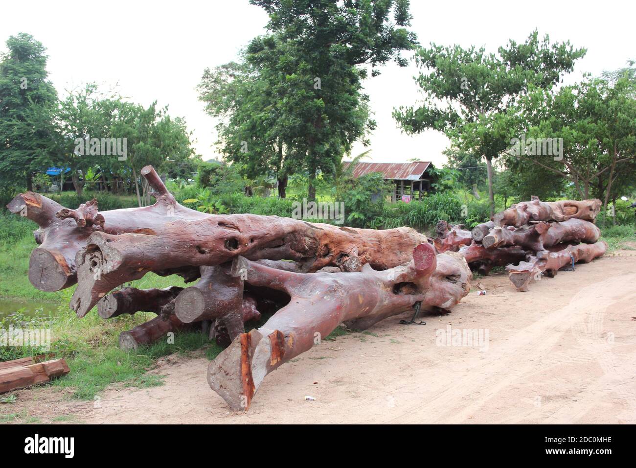 A large log for a residence Stock Photo - Alamy