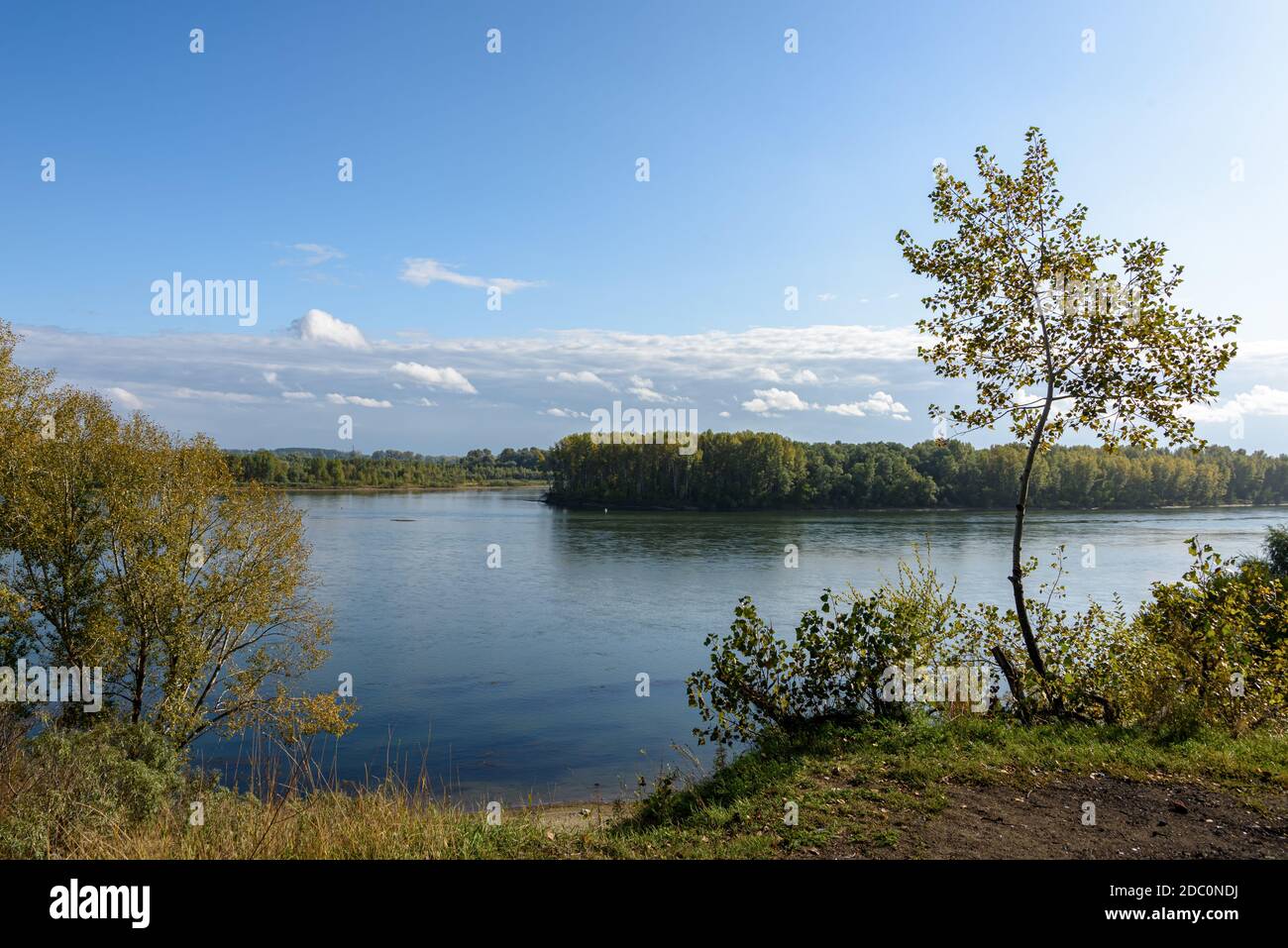Autumn landscape with river and forest views, blue sky with clouds ...