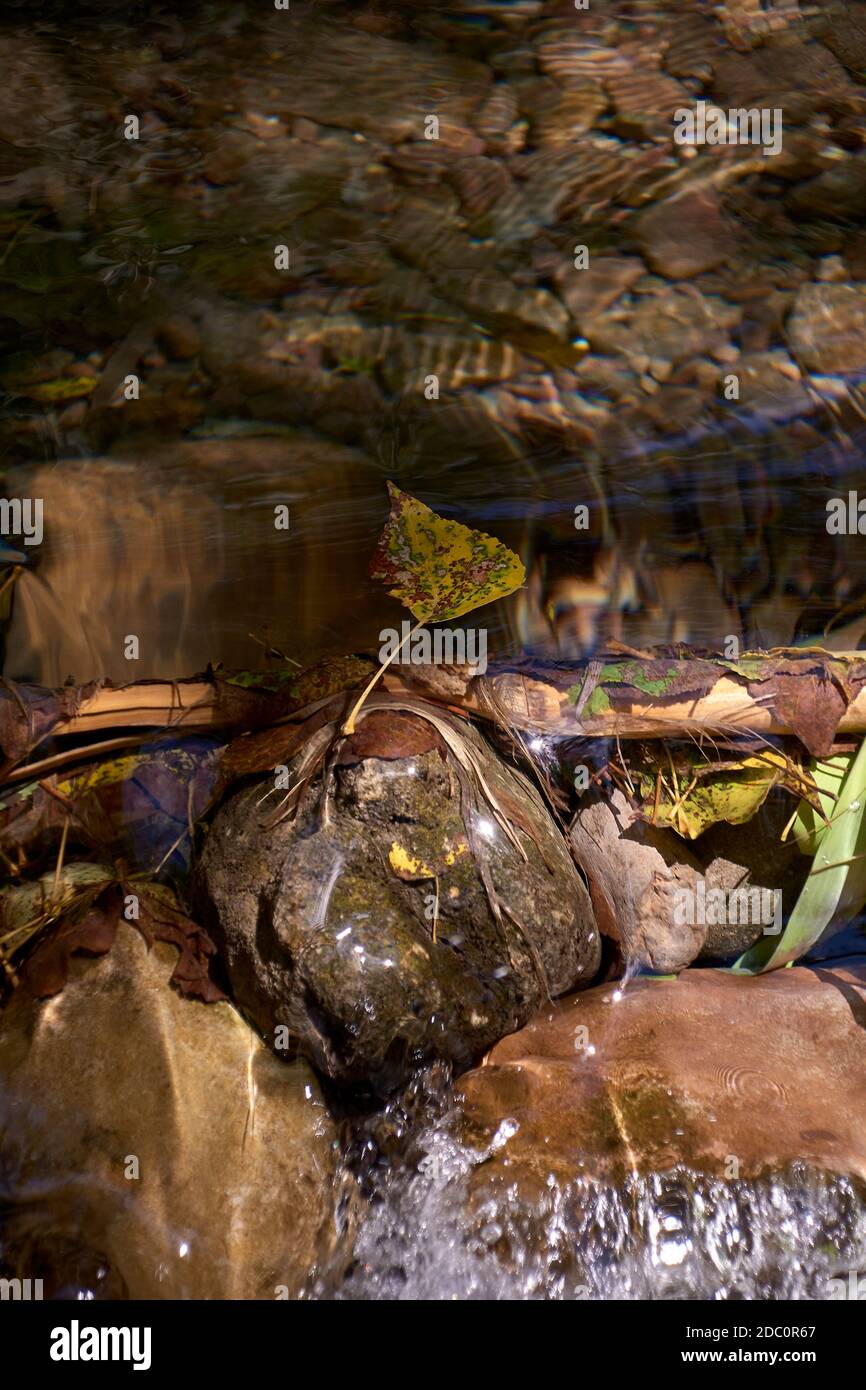 Small leaf falling down a small waterfall, Transparent water, rock, clarity Stock Photo