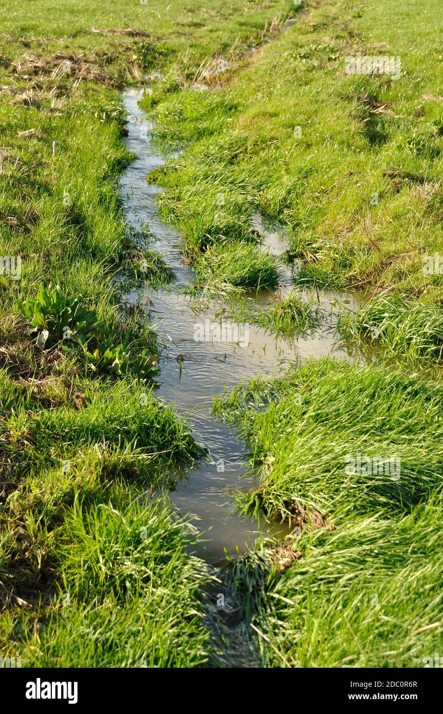 Channel dug to drain a flooded field in Brittany Stock Photo