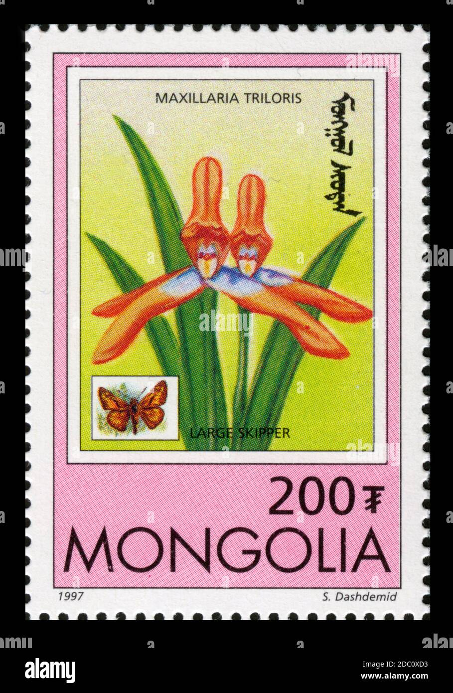 Stamp print in Mongolia,1997,flowers, orchids,Maxillaria Triloris,Large Skipper Stock Photo