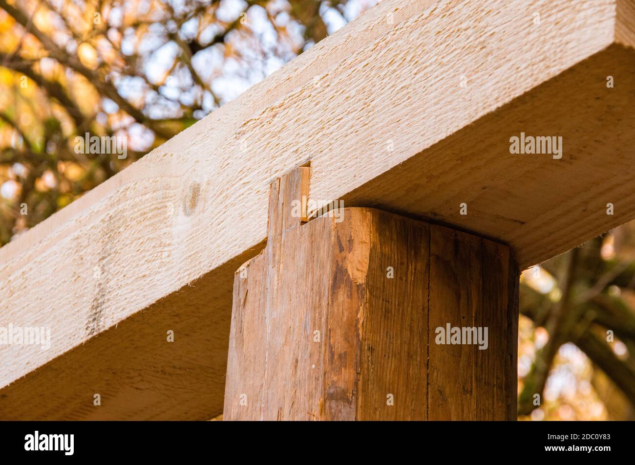 Old and new wooden beams connected by hand. Stock Photo