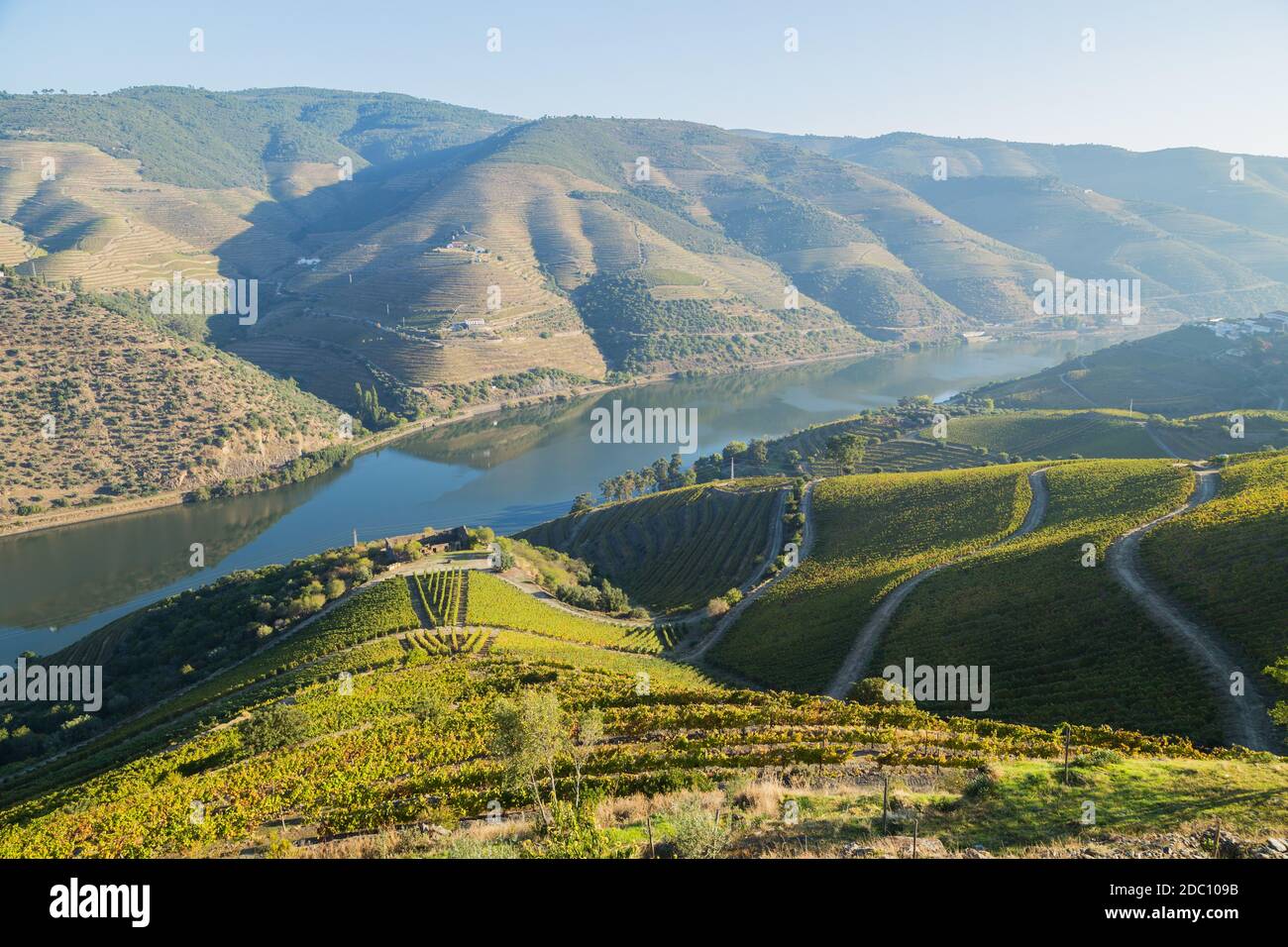 Scenic view of the Douro Valley and river with terraced vineyards near the village of Tua, Portugal Stock Photo