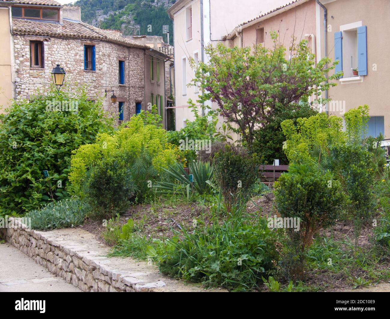 buis les baronnies,drome,france Stock Photo Alamy
