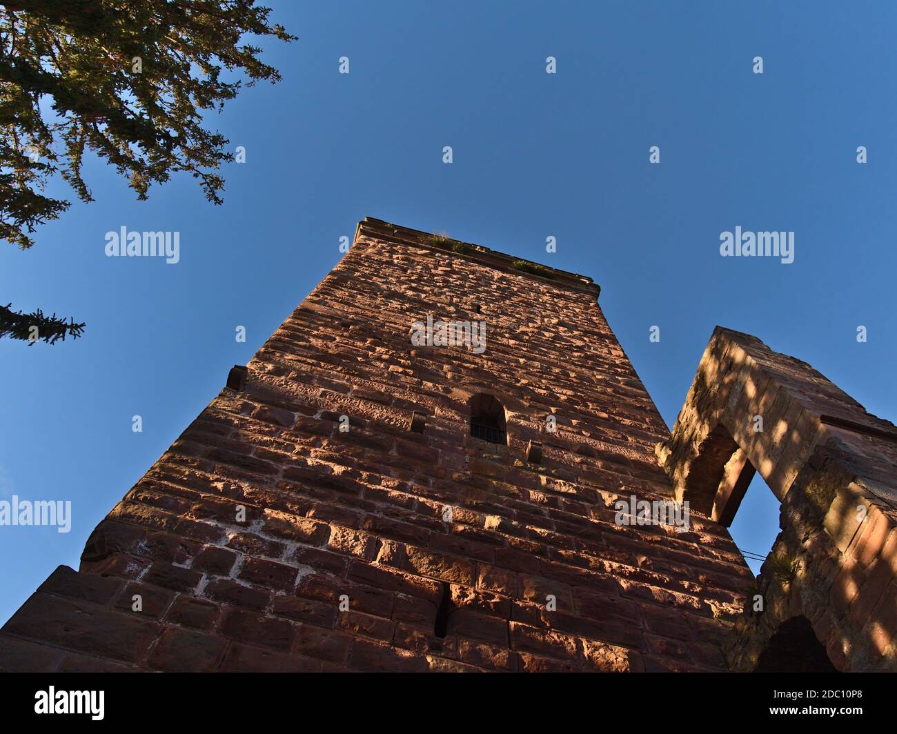 Low angle view of reconstructed bergfried tower of ruined castle Burg Zavelstein, today used as view tower, above Teinach valley in Black Forest. Stock Photo
