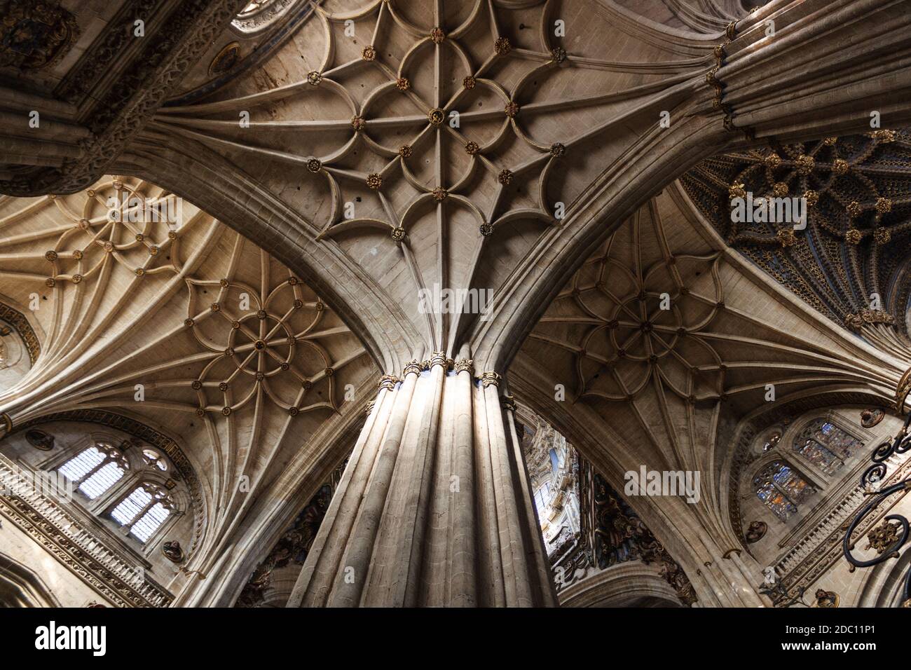 Salamanca New Cathedral interior columns and ceiling, Castille and Leon, Spain Stock Photo
