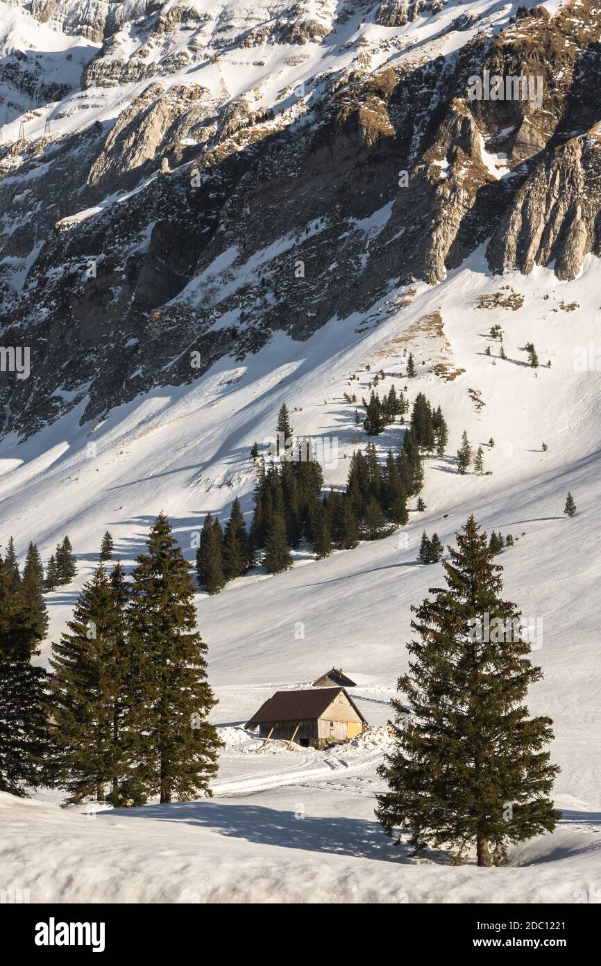 Winter landscape with mountain huts on the Schwaegalp, Canton Appenzell-Ausserrhoden, Switzerland Stock Photo