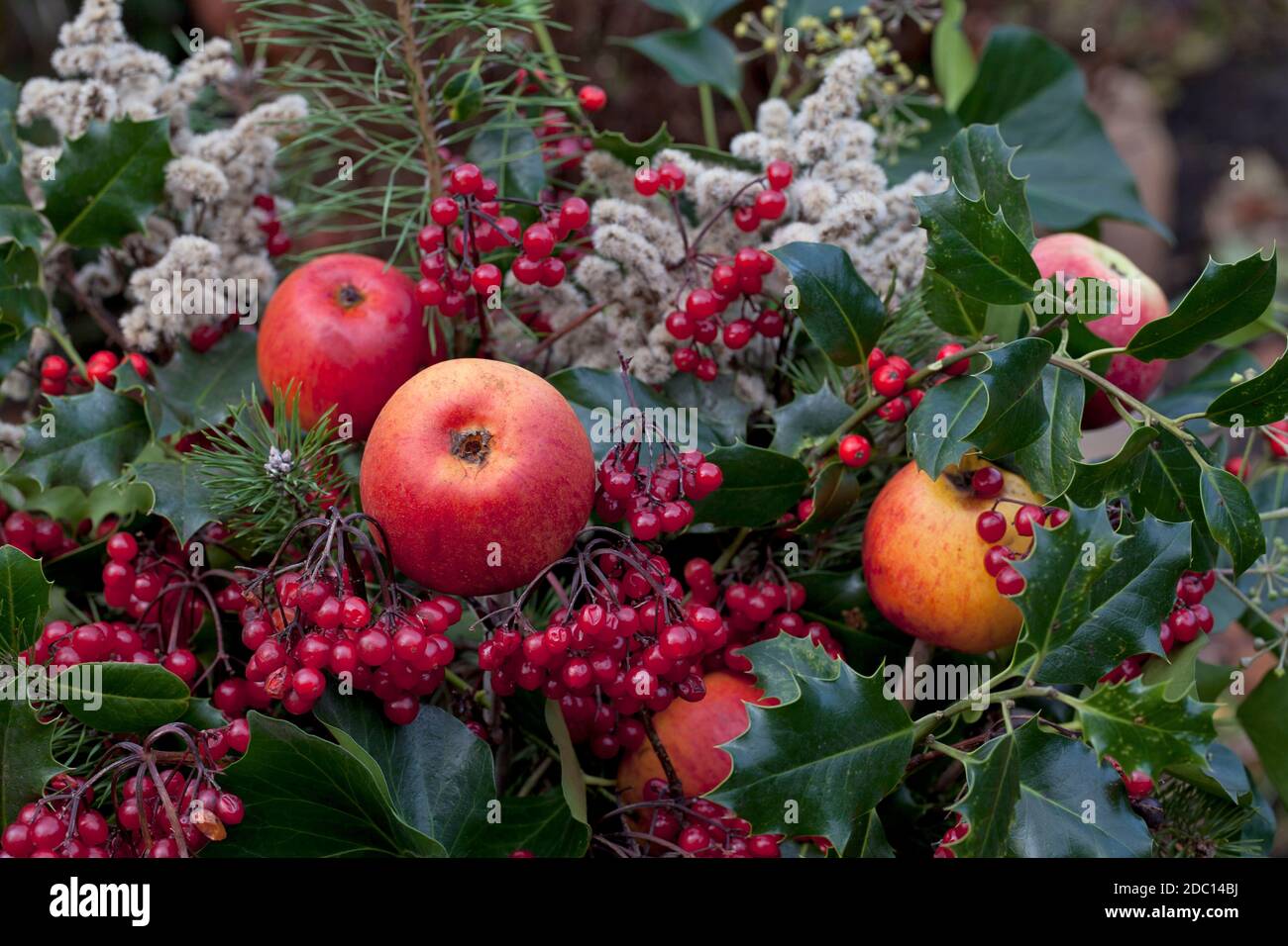 Weingarten kalender 2013 hi-res stock photography and images - Alamy