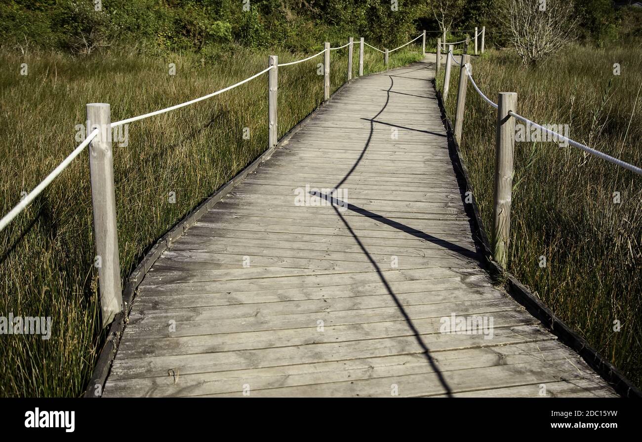 Wooden path to the beach, access detail for person, summer and ...