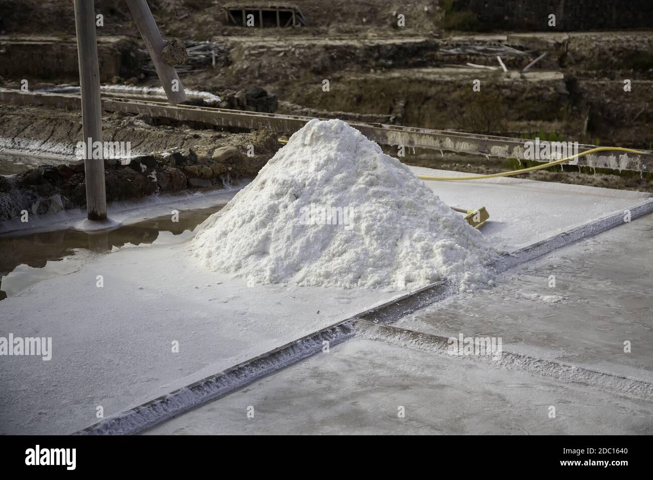 Salt in saline production, manufacturing and industry, nutritional
