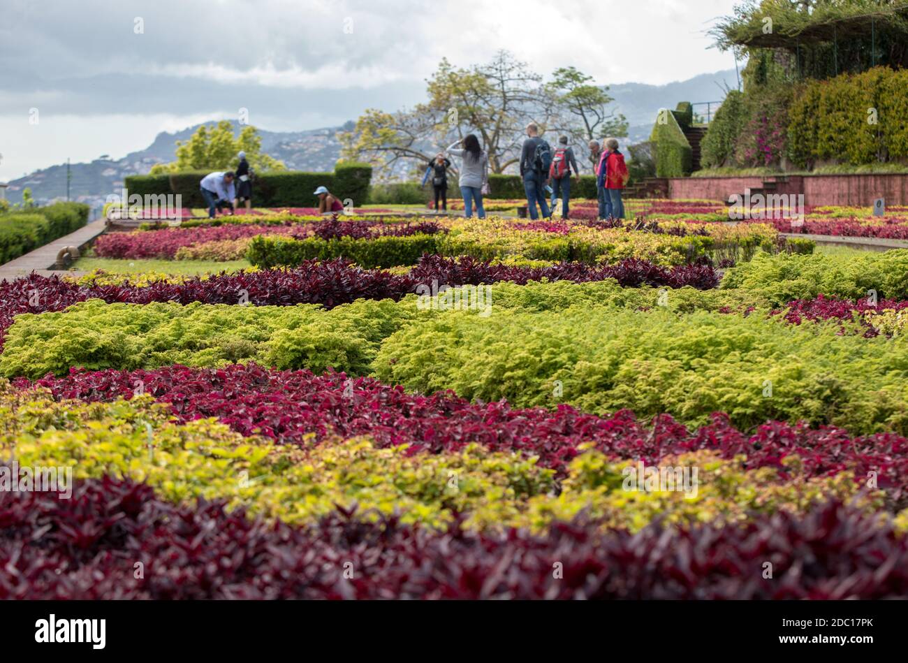 Funchal, Madeira, Portugal - April 23, 2018: Tropical Botanical Garden in Funchal on Madeira island, Portugal Stock Photo