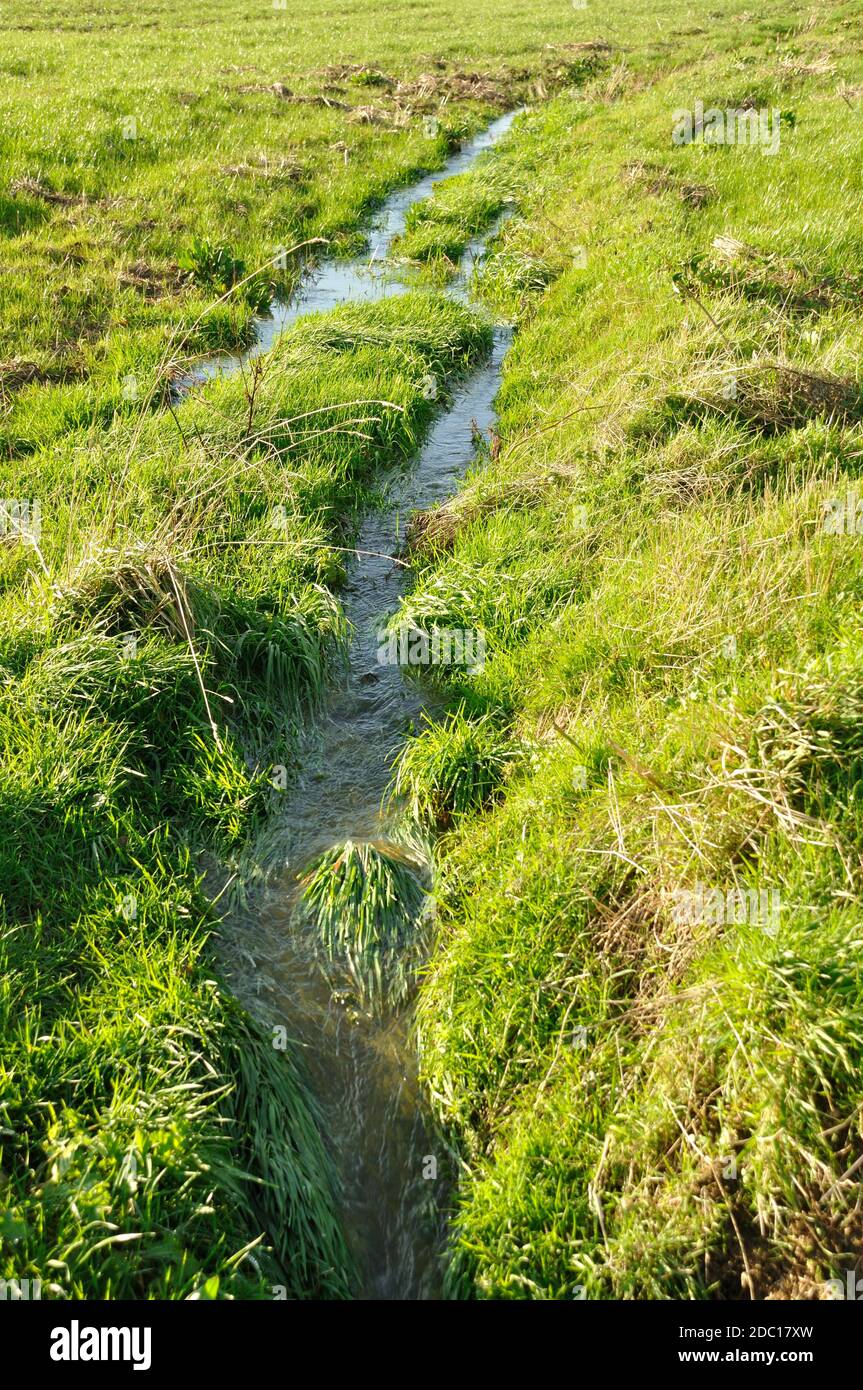 Channel dug to drain a flooded field in Brittany Stock Photo