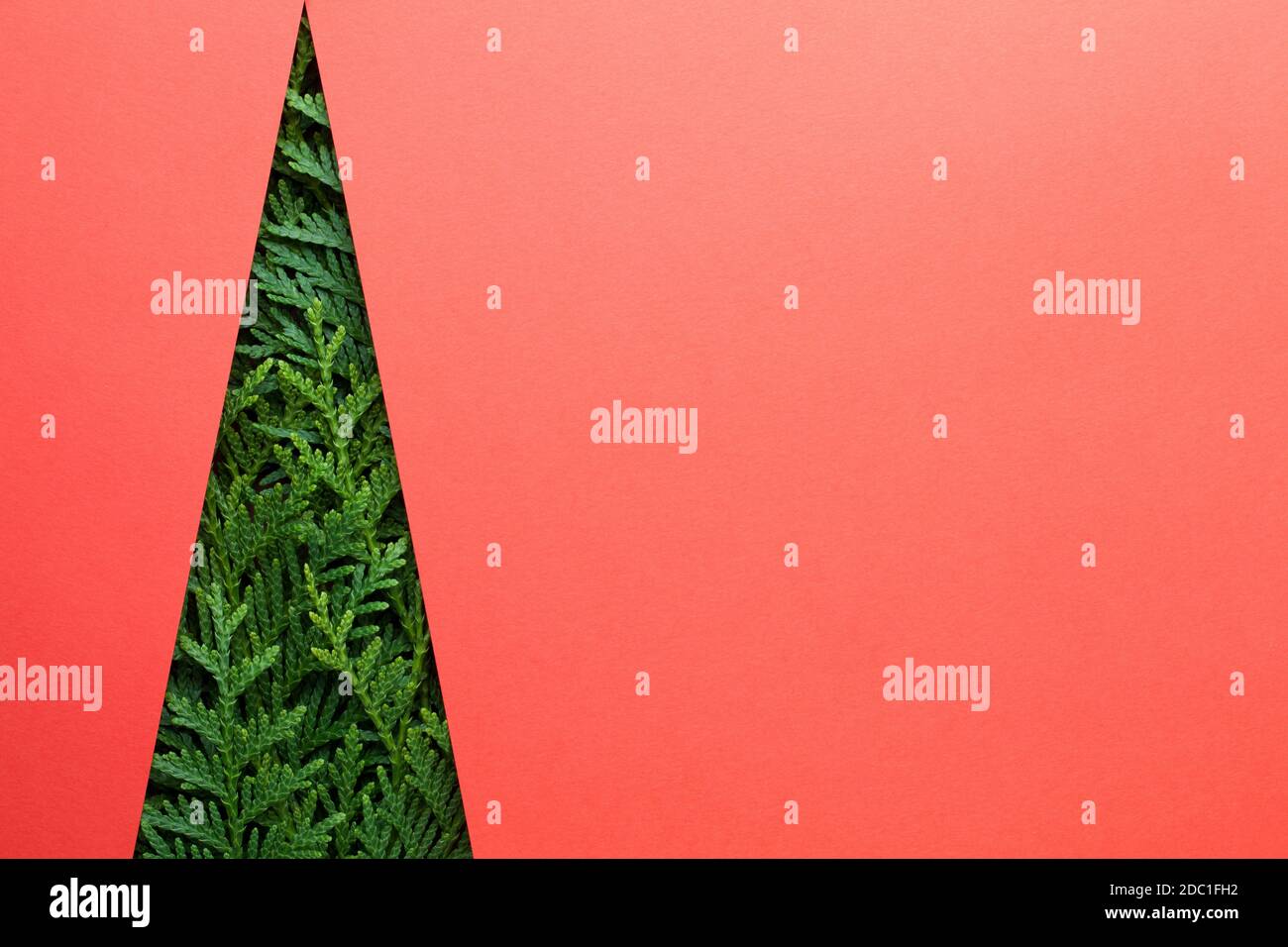 Minimal creative christmas tree made of thuja twigs. Copy space on red paper background. Top view Stock Photo